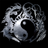 omz_official