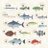 鈴木さん🐟スイング投資練習中のアイコン画像