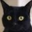 最弱投資家・黒猫のアイコン画像