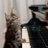 猫ステップのアイコン画像
