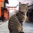 テンバガーを探す不動産屋のアイコン画像