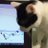 きのこ🐱 株主優待 クロス 節約 フリマ🍀のアイコン画像