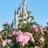 flowerTDR_bot
