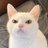 アフリカ動物パズル😾のアイコン画像
