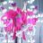 Ayane_kfty