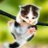 ちるびあのアイコン画像