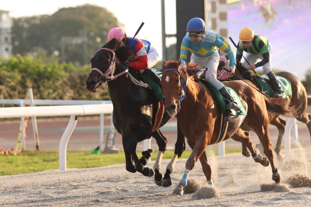 10歳馬が重賞制覇！ 笠松競馬で感動のゴール