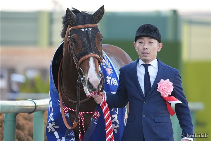 アルナシーム、引退後の新たな挑戦は？