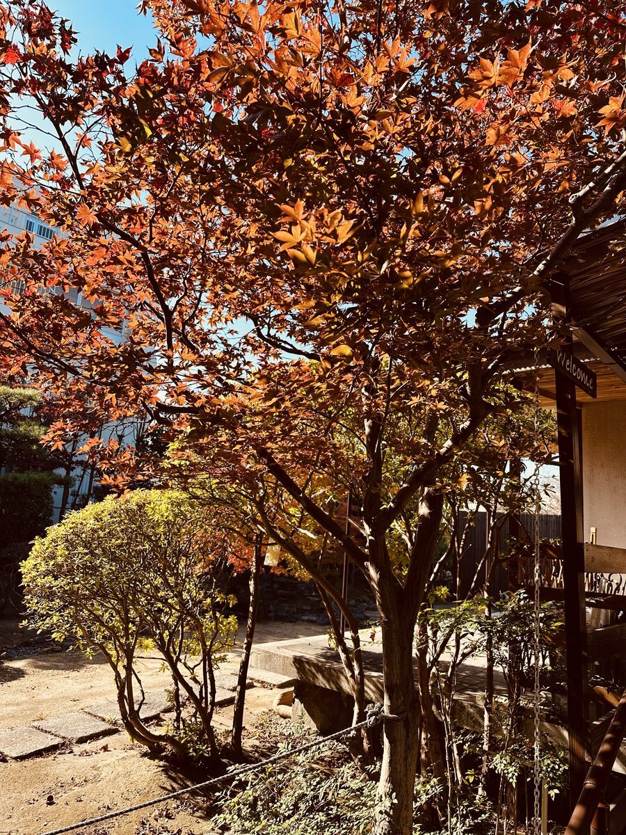 福岡県みやま市」のYahoo!リアルタイム検索 - X（旧Twitter）を