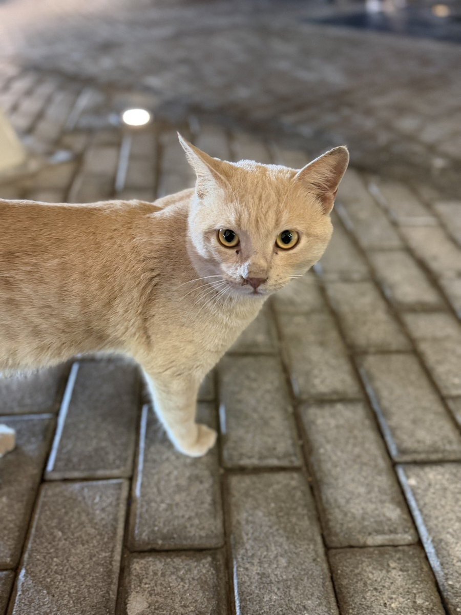 ポンコツ」のYahoo!リアルタイム検索 - X（旧Twitter）をリアルタイム検索