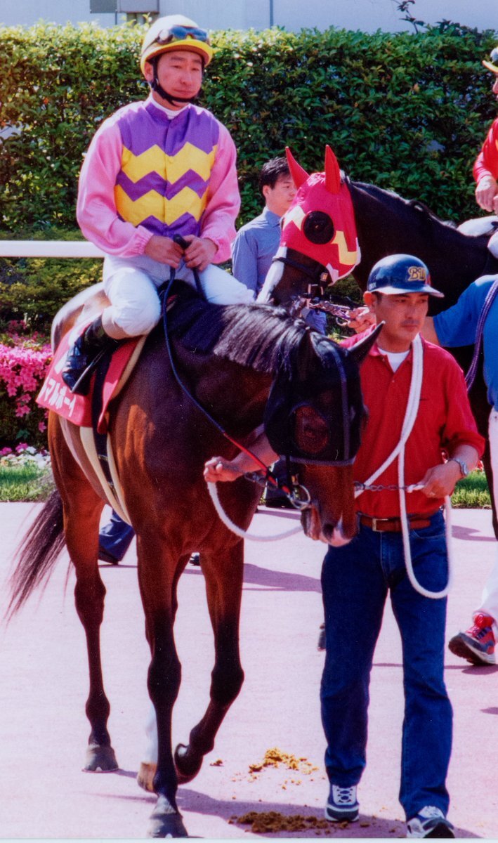 ツルマルボーイ、愛され馬の旅立ちにファン悲しむ