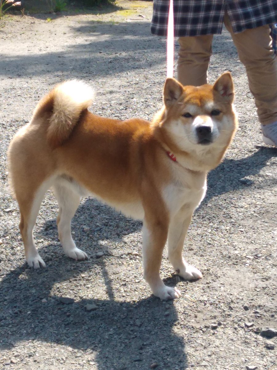 タケカワユキヒデさんの誕生日、SNSで祝福の声