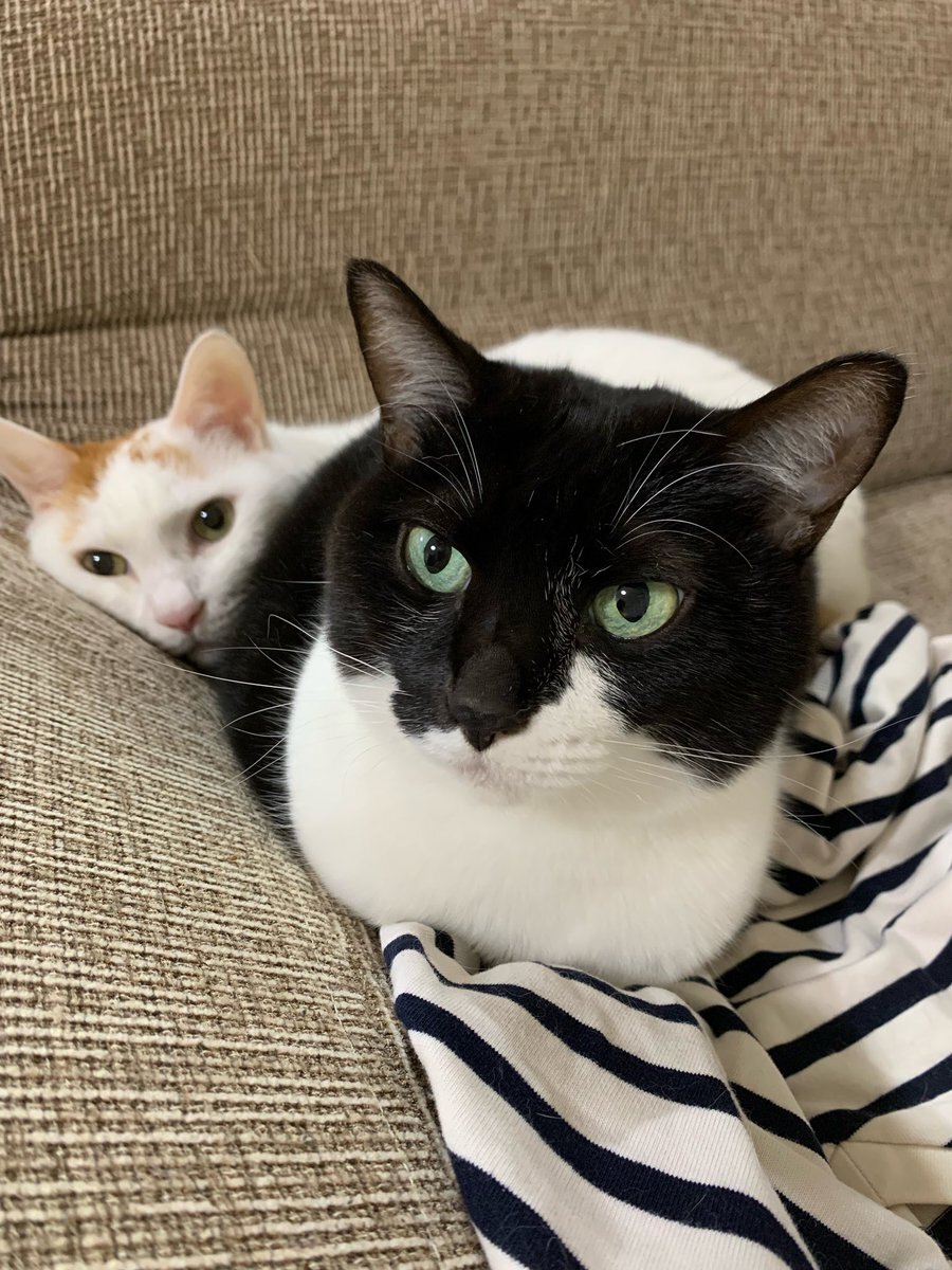 今週の勤務日数、4日！みんなはどう過ごす？