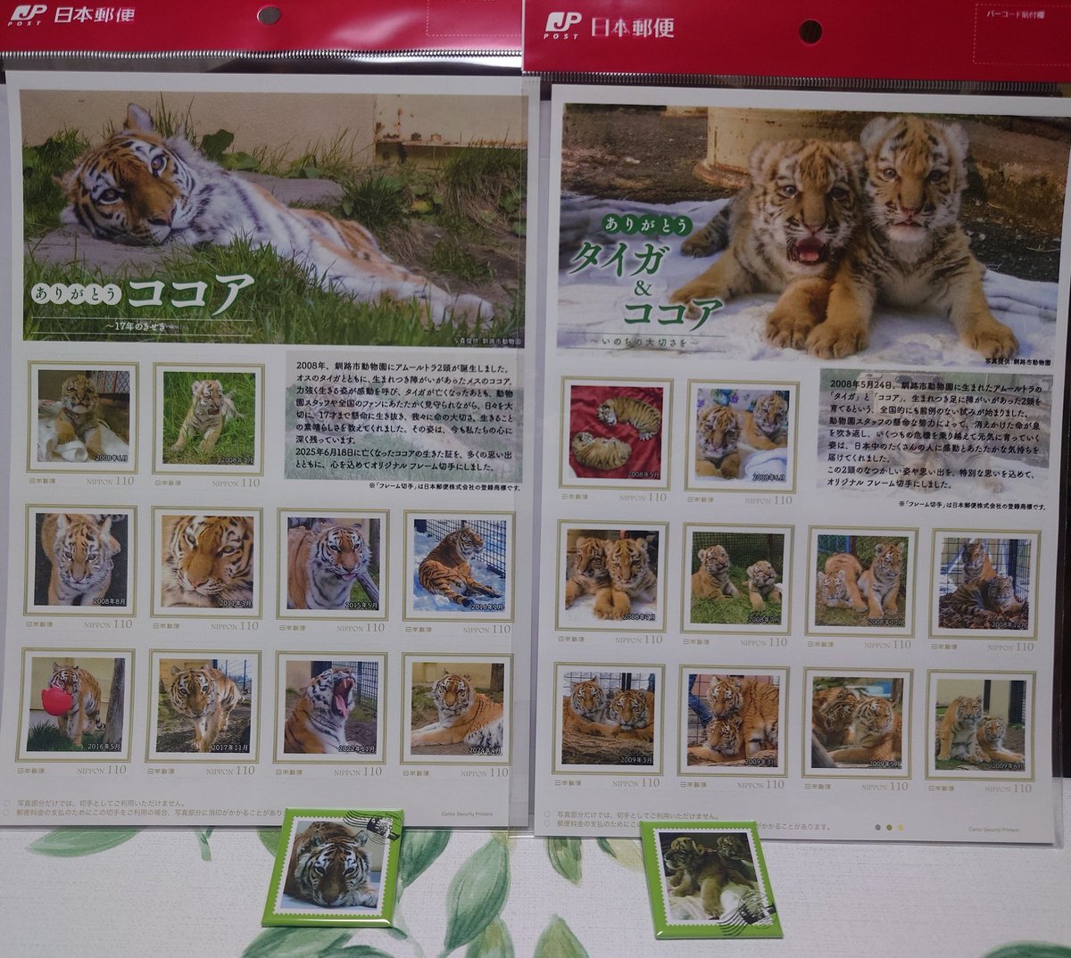 釧路市動物園 グッズ」のYahoo!リアルタイム検索 - X（旧Twitter