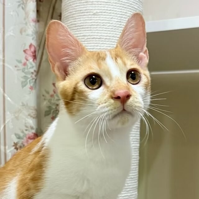 クマ♡ 25d719da6095ae3222b90498a1df25