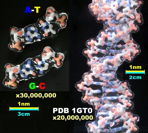 ワトソン氏の功績、SNSで話題に
