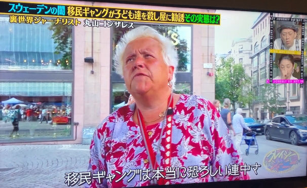 スウェーデン移民ギャング問題、日本への警鐘