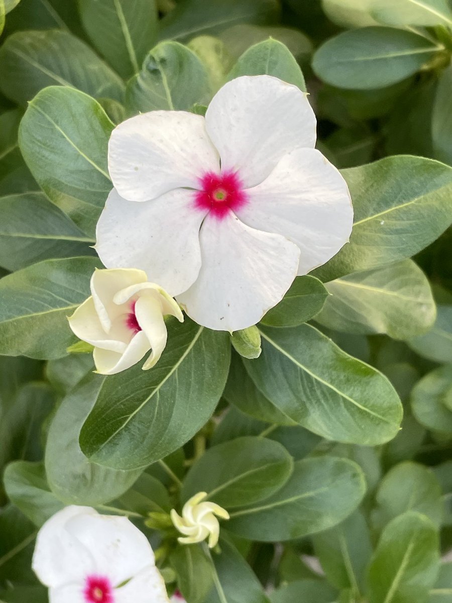 高市首相の発言に批判殺到、台湾有事への懸念高まる