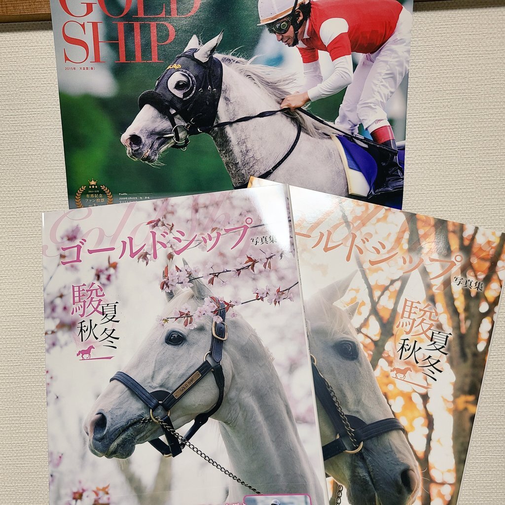ゴールドシップ　写真集&DVD ゴールドシップ 写真集&DVD ゴールドシップ写真集 駿夏秋冬