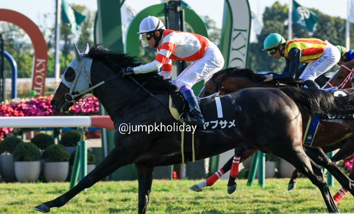 ヤブサメ、武豊騎乗で東山Sを快勝！ 