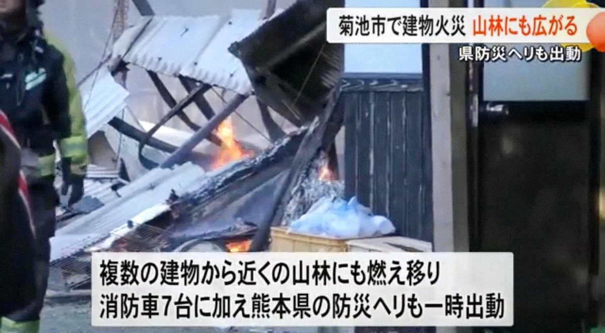 熊本県で犬舎火災、約100匹の犬死亡