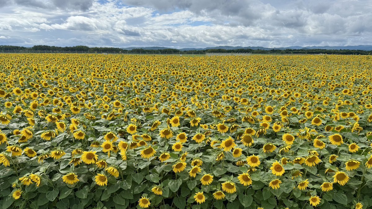 X（旧Twitter）で話題のおもしろ画像や動画 - Yahoo