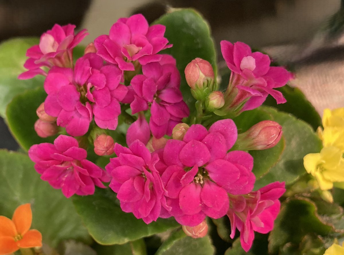 ベルリンの壁崩壊、36周年を迎えた歴史的瞬間とは？