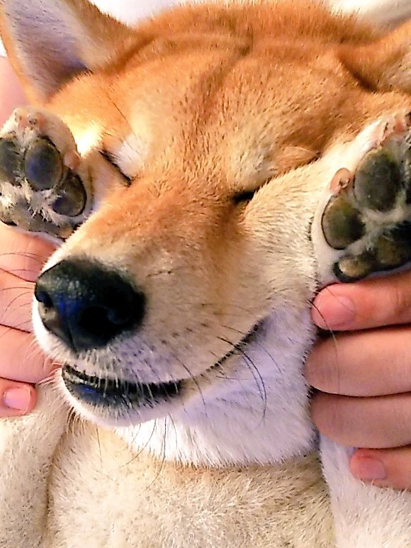 明日から帰省」のYahoo!リアルタイム検索 - X（旧Twitter）を