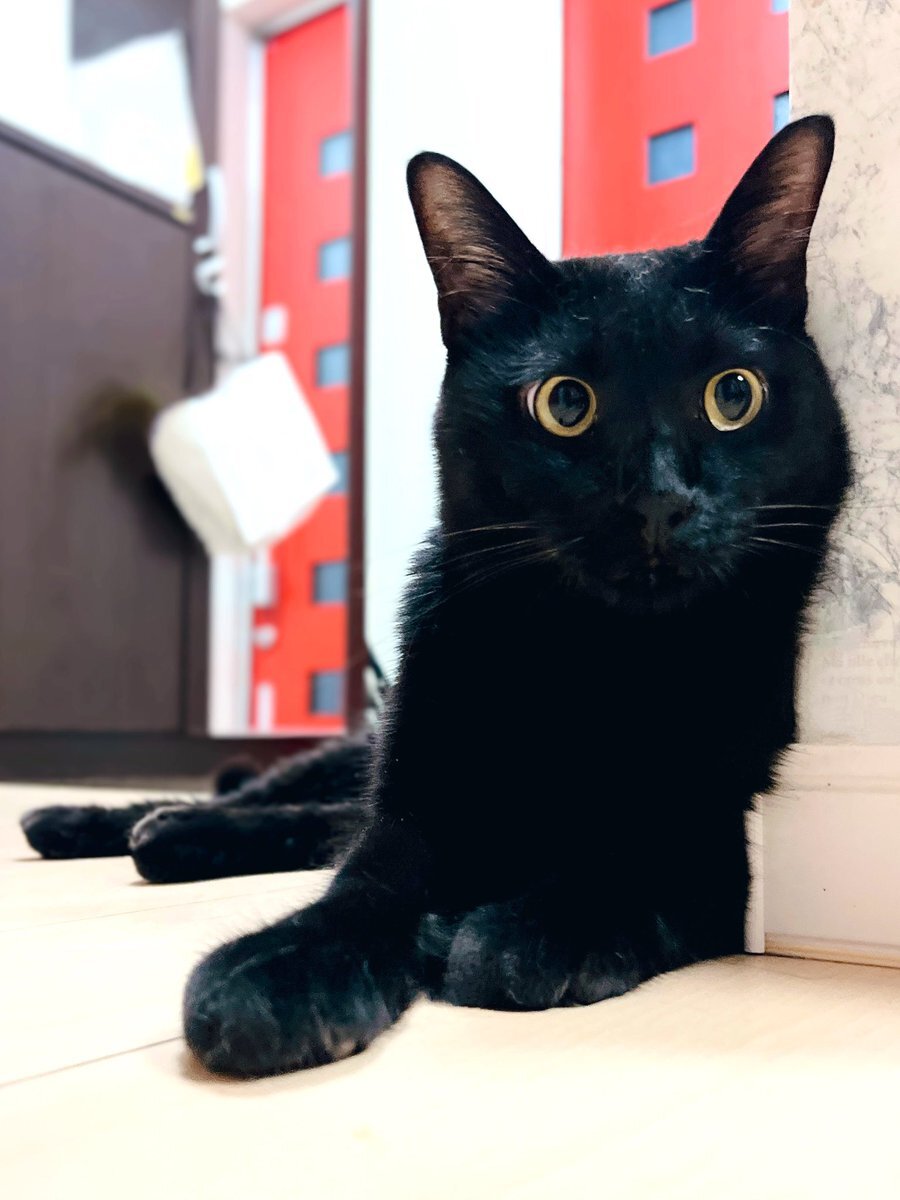 12月到来！SNSユーザー、早すぎる12月への反応