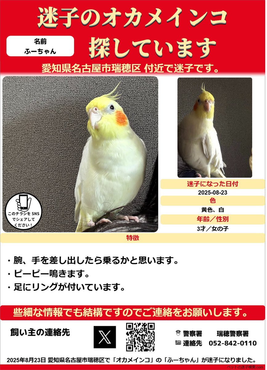 (-ω-ゞあい⌒☆ページ 桃源暗鬼 - トレーディングB8硬質カードケース | AMNIBUS