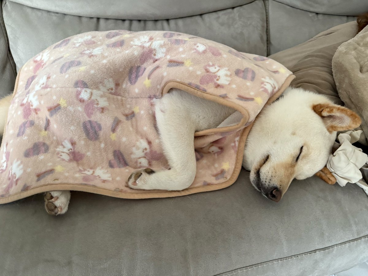 ソフトバンク、柳田＆柳町で猛攻！日本シリーズはどっちが勝つ？