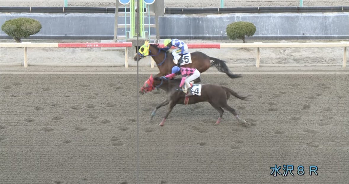 水沢競馬予想、的中報告続々！ユーザー熱狂