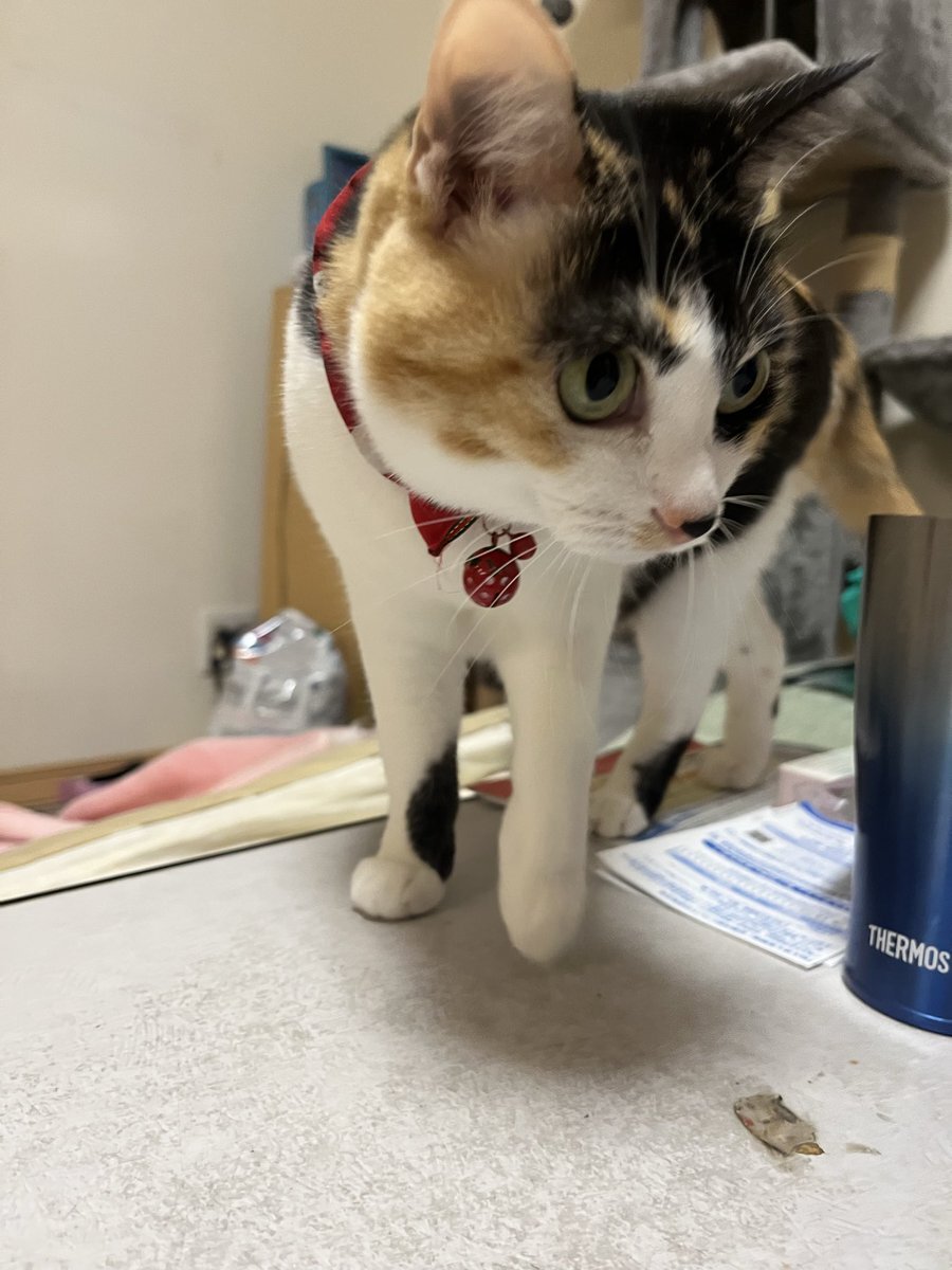 火曜日 blues？Twitter上は「まだ火曜日」の声で溢れる