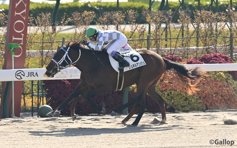 シュネルアンジュがゴール前で差し切り、デビュー勝利！タガノシルフィー惜敗