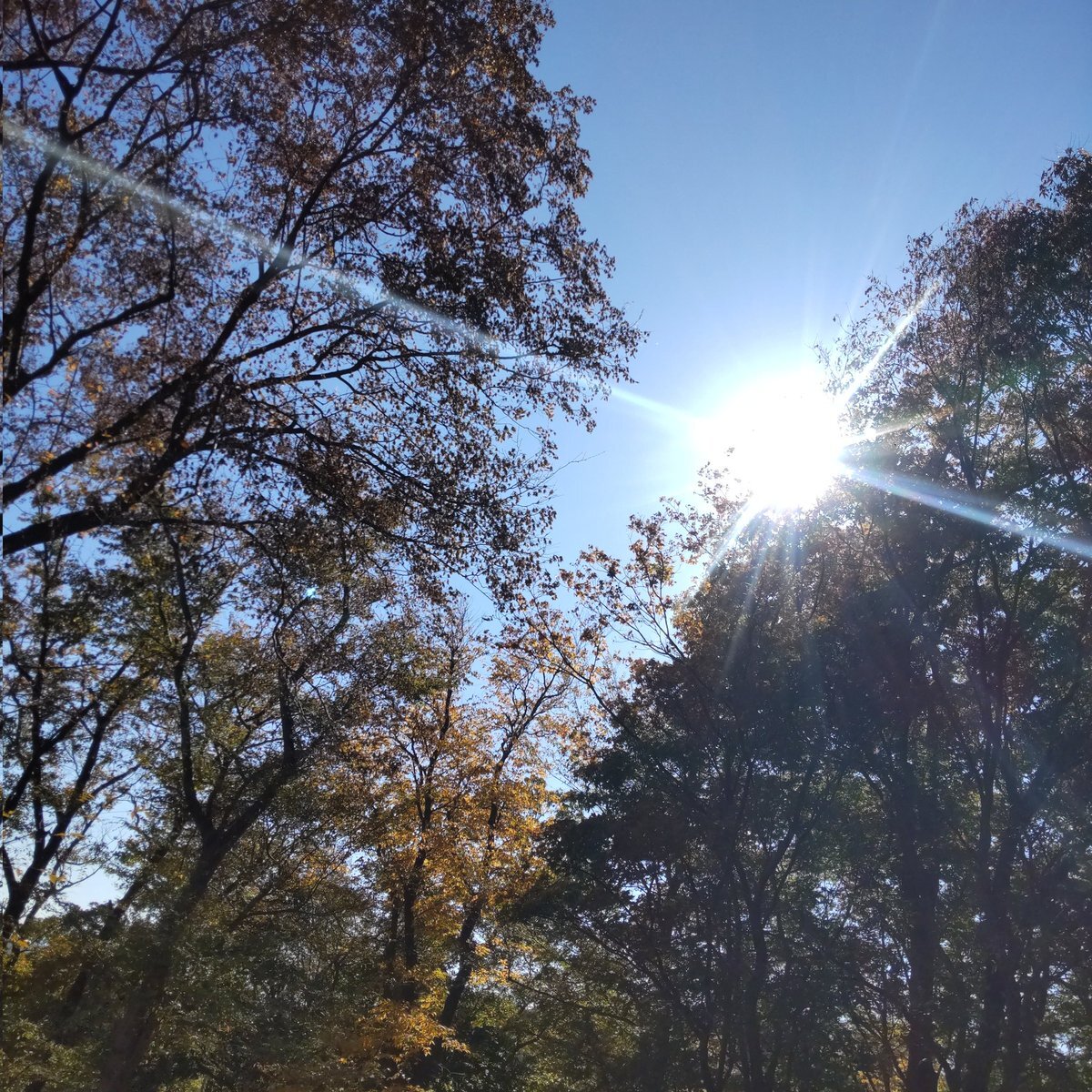 「途中退席」が話題に！SNSで様々な理由が明らかに