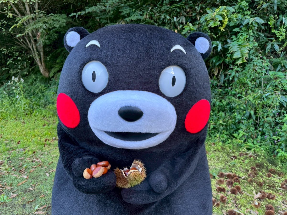 くまモン⭐️値下げ中 くまモン」のYahoo!リアルタイム検索 - X（旧Twitter）を
