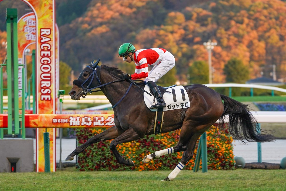 ガットネロ、福島12Rで圧勝！ 19.6倍の単勝的中、ファン歓喜