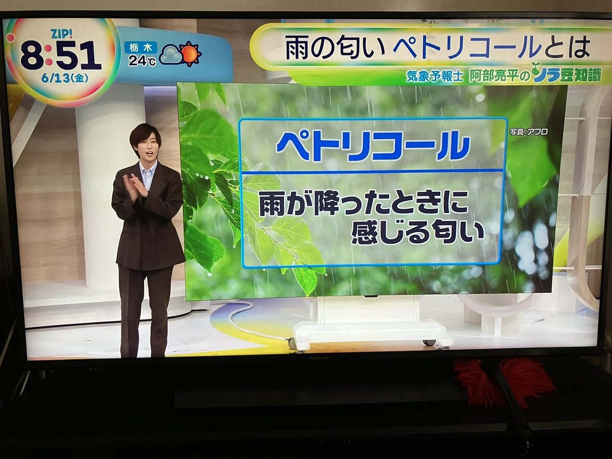 Snow Man『ソラ豆知識 SERIOUS ZIP』」のX（旧Twitter）検索結果