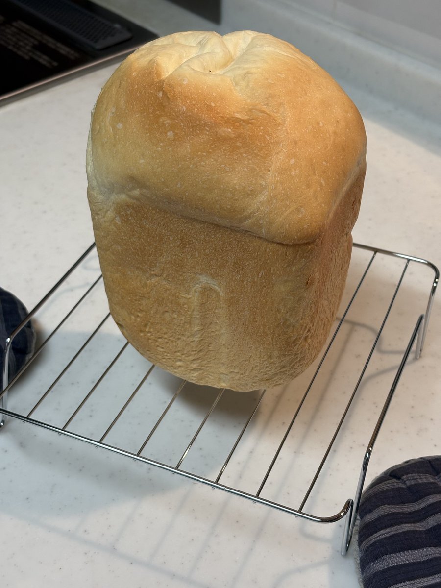 堀口恭司の圧勝に興奮！ファン興奮で寝れない