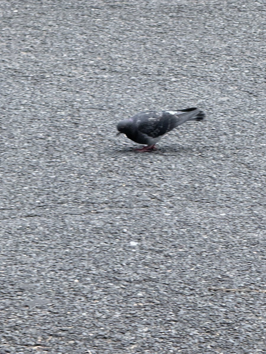ミートソースパスタ、麺だけ食べた小学生の思い出が話題に