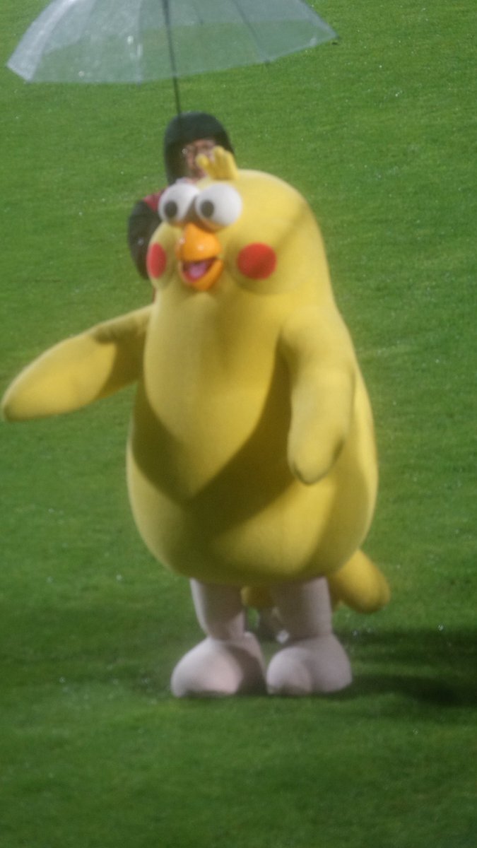 ぽいんこ ポインコの世界を覗いてみよう！