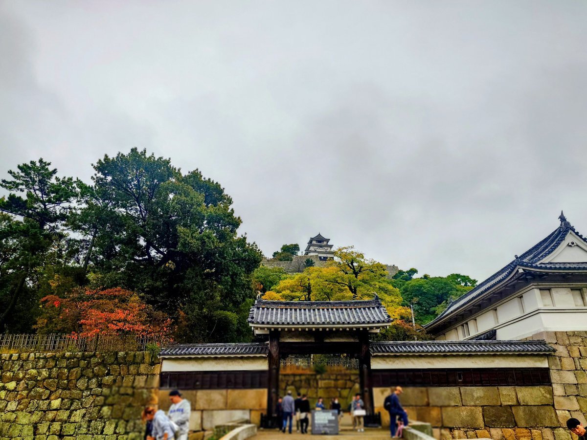 SNSで「追い出される」経験を共有する投稿が多数