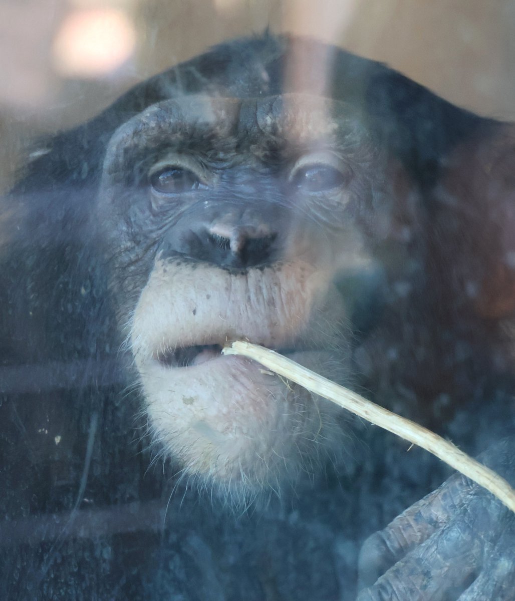 ルイ」のYahoo!リアルタイム検索 - X（旧Twitter）をリアルタイム検索