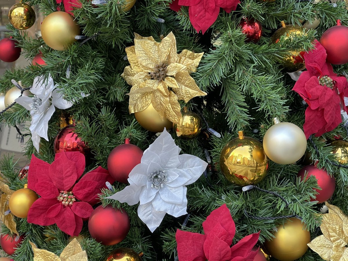 キンキンキラキラ金曜日！週末への期待感と感謝の声