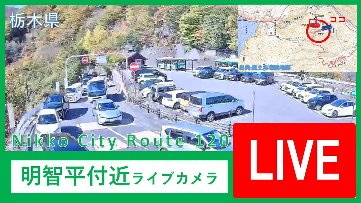 まぁ 明智平」のYahoo!リアルタイム検索 - X（旧Twitter）をリアルタイム検索