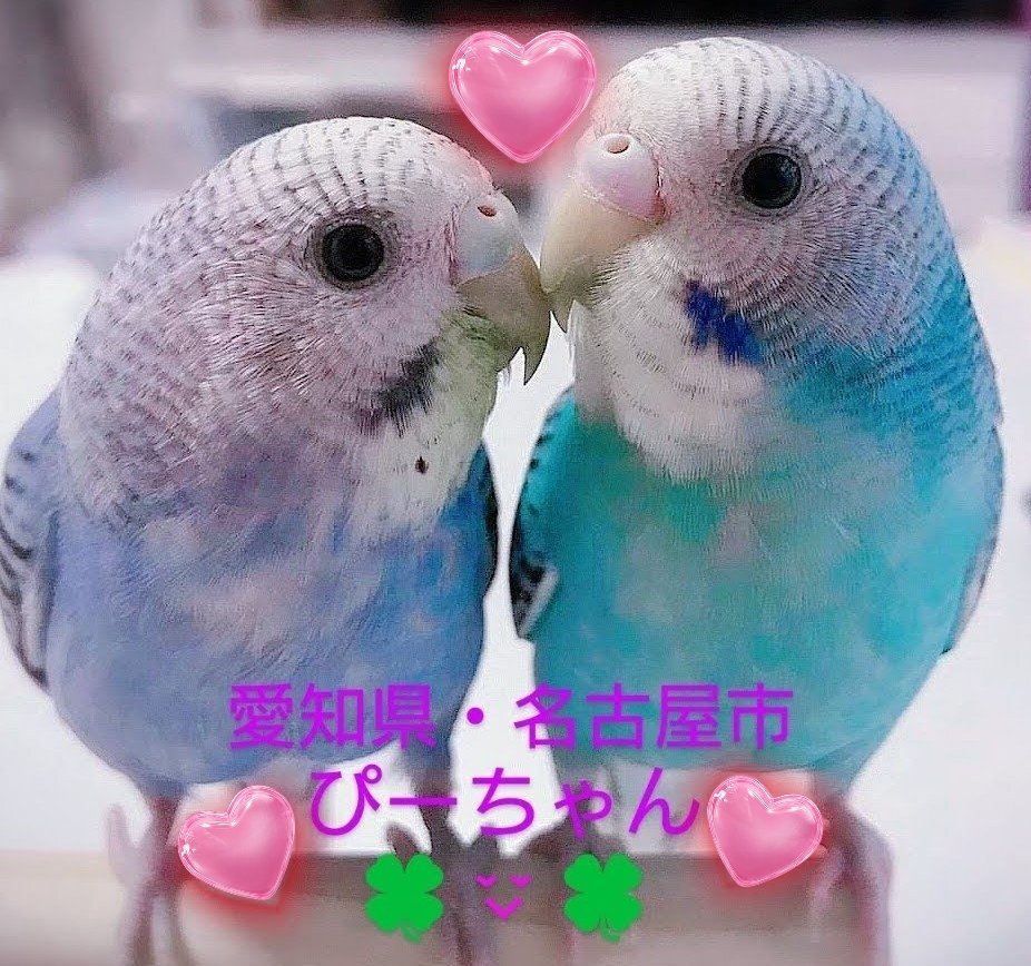 ぴーちゃん」のYahoo!リアルタイム検索 - X（旧Twitter）を