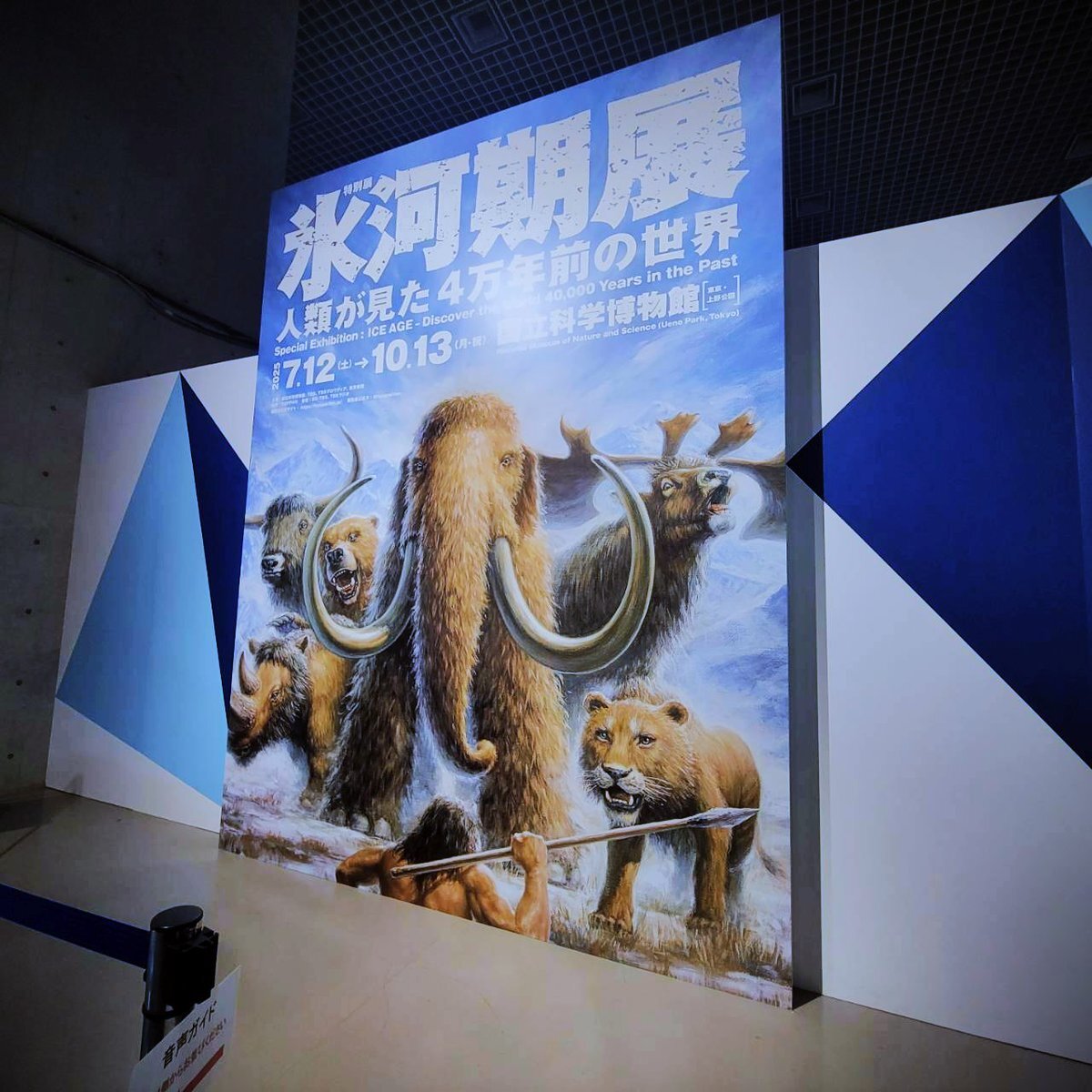 希少　氷河期マンモス標本標本 氷河期展 〜人類が見た4万年前の世界〜/国立科学博物館/2025.07