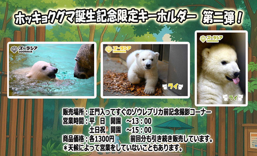 ✨ズーラシア新商品！ホッキョクグマ6種セット✨ ✨ズーラシア新商品！ホッキョクグマ6種セット✨ - メルカリ