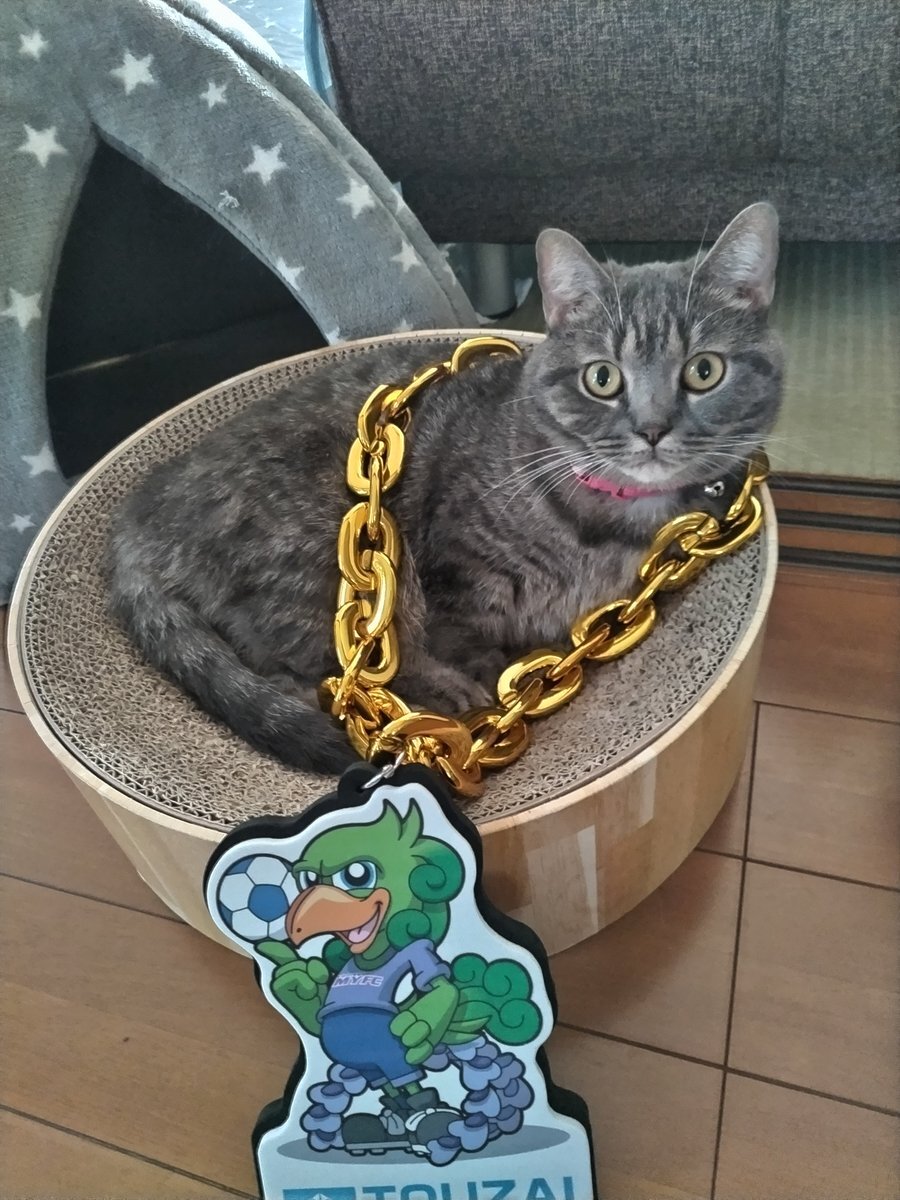 西川愛也 ミニビッグチェーンネックレス 埼玉西武ライオンズ ミニビックチェーン 西川愛也 - メルカリ