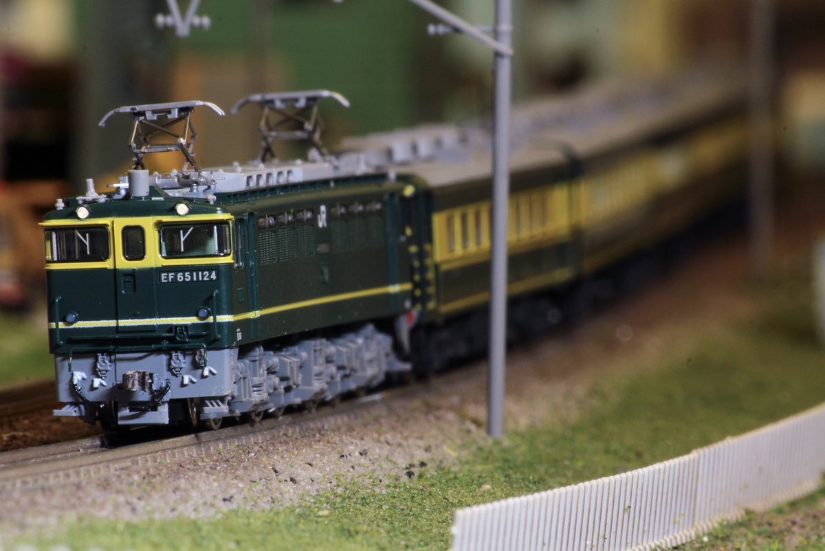※ikucyanさん専用※　サロンカーなにわ　EF65×2 ikucyanさん専用※ サロンカーなにわ EF65×2